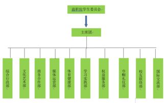 一封來自共青團的信 讓大學生活多姿多彩，溫職院十二大組織招新啟航